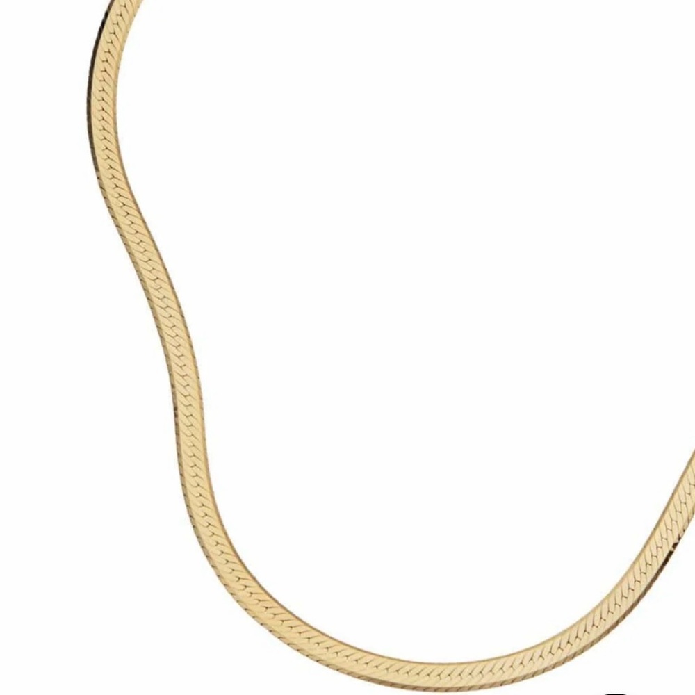 Jennifer Zeuner Karli Herringbone Necklace - Picture 2 of 4